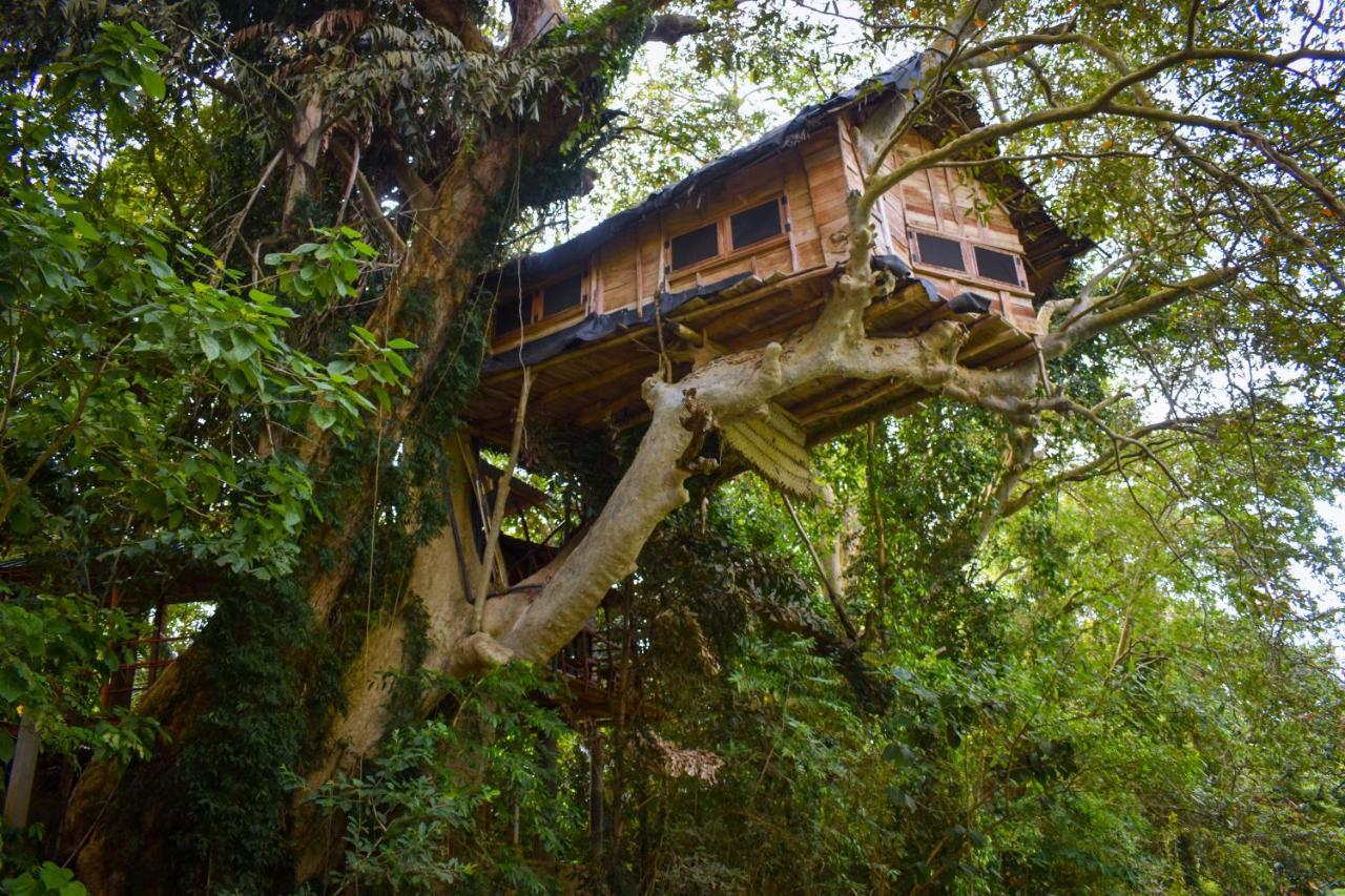 Villa Kumbuk Tree House Tissamaharama Exterior foto