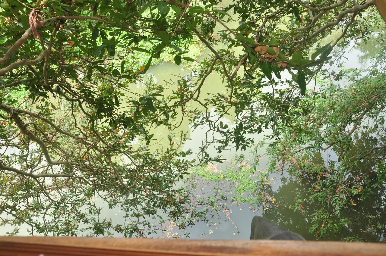 Villa Kumbuk Tree House Tissamaharama Exterior foto